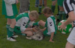 fotball
