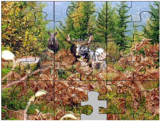 NM puzzle