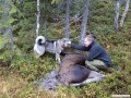 Trivelig med slike hunder som Osku på fallet. Her fra jakta i Namskogan