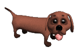 Happy Dog